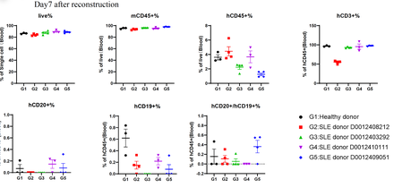 SLE-PBMC Reconstituted Humanized Model
