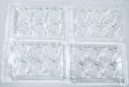 TC-Treated Multiple Well Plates for cell culturing, 100/cs
