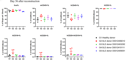 SLE-PBMC Reconstituted Humanized Model
