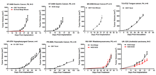 Patient Derived Xenograft Models