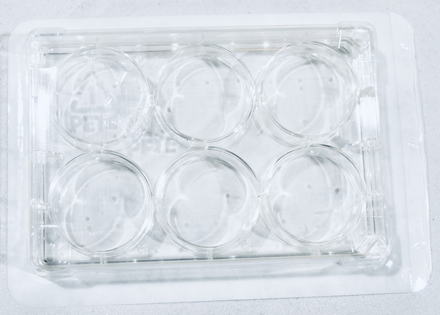 TC-Treated Multiple Well Plates for cell culturing, 100/cs