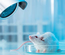 Other mouse models
