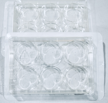 TC-Treated Multiple Well Plates for cell culturing, 100/cs
