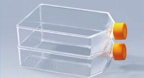 Cell culture Flasks