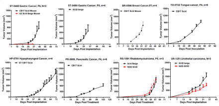 Patient Derived Xenograft Models