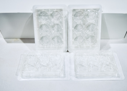 TC-Treated Multiple Well Plates for cell culturing, 100/cs