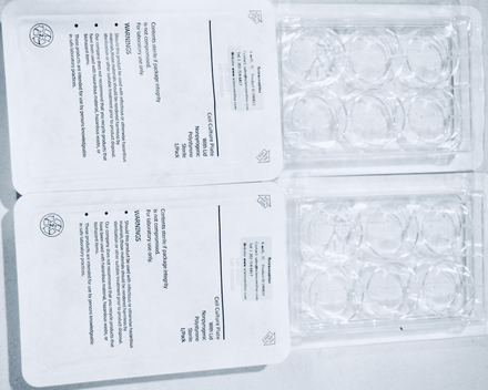 TC-Treated Multiple Well Plates for cell culturing, 100/cs