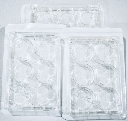 TC-Treated Multiple Well Plates for cell culturing, 100/cs