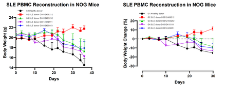 SLE-PBMC Reconstituted Humanized Model