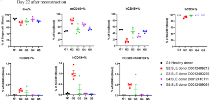 SLE-PBMC Reconstituted Humanized Model