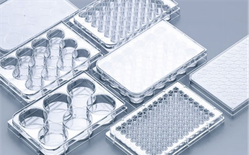 TC-Treated Multiple Well Plates for cell culturing
