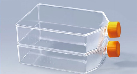 Cell culture Flasks