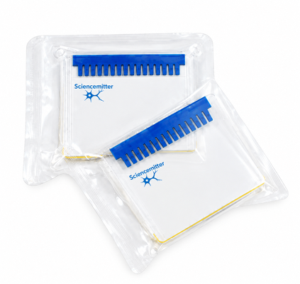 FuturePAGE™ Bis-Tris Precast Mini Protein Gel 12 Wells, 1mm,4-12%, 4-20%, 12%, 10%, 8%